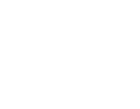ایده‌نت — ایمن دیده‌بان شبکه